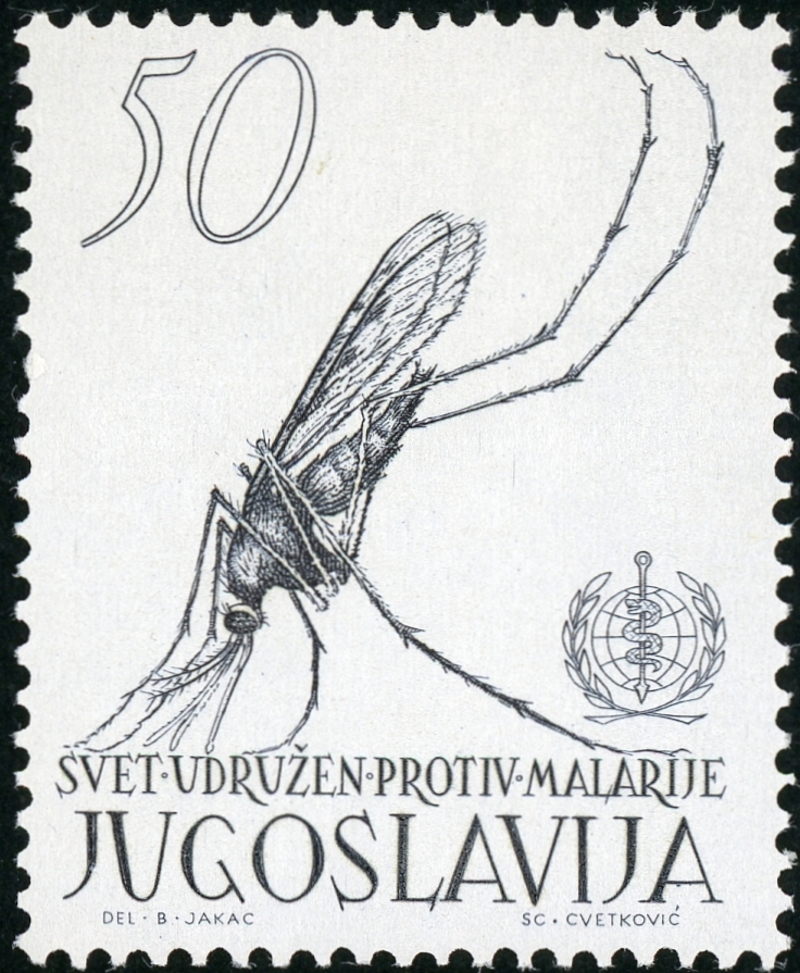マラリアと蚊2：ユーゴスラビア（1962年発行）―尾を上げたハマダラカを描写